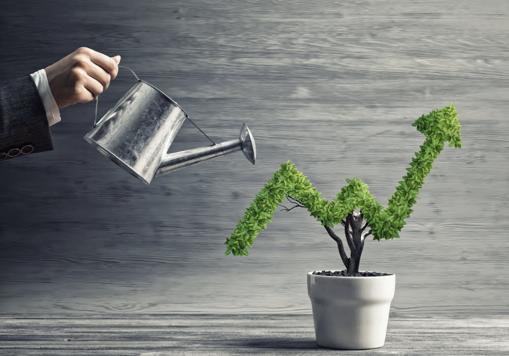 alpaca币现在值得投资吗