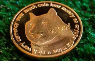 狗狗交易所app手机钱包 狗狗币安卓最新下载