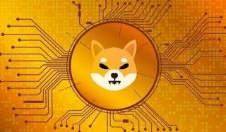 shi币app下载 shi币app最新版