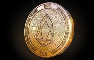 柚子币app手机端下载 柚子币安卓app手机最新版