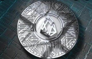 【柚子币】官方app软件下载 柚子币eos官方版下载