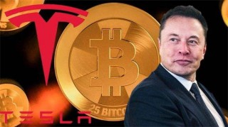 区块链交易记录查询(区块链信息查询)