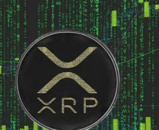 一千元柴犬(500块的柴犬)