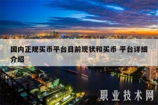 国内正规买币平台目前现状和买币 平台详细介绍