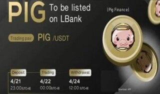 苹果怎么下载pig币 pig币交易所app官网下载