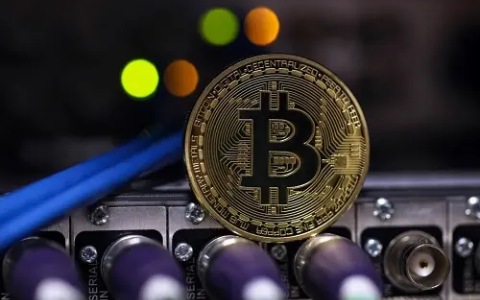 货币排行榜最后一名-加密货币交易平台排行