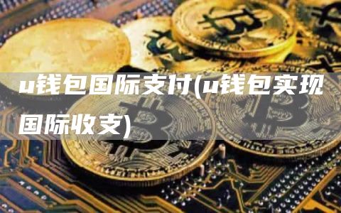 u钱包国际支付 - u钱包实现国际收支