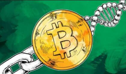 数字货币正规交易平台_数字货币交易所全新榜单